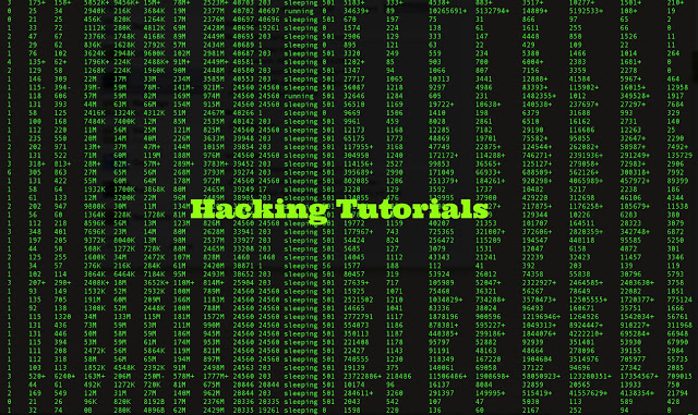 Free hacking tutorials for beginners